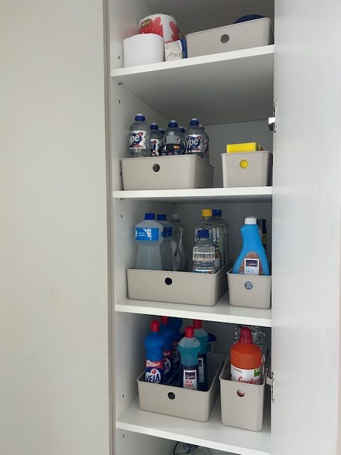 personal-organizer-sao-paulo00002